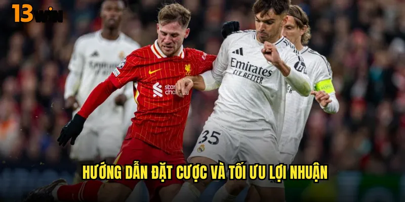 Hướng Dẫn Đặt Cược Và Tối Ưu Lợi Nhuận