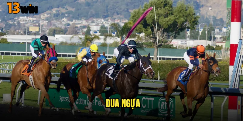 Trường Đua Kinh Điển Cá Cược Đua Ngựa 13WIN Thượng Lưu 7 đua ngựa